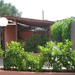Mimose