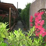 Mimose
