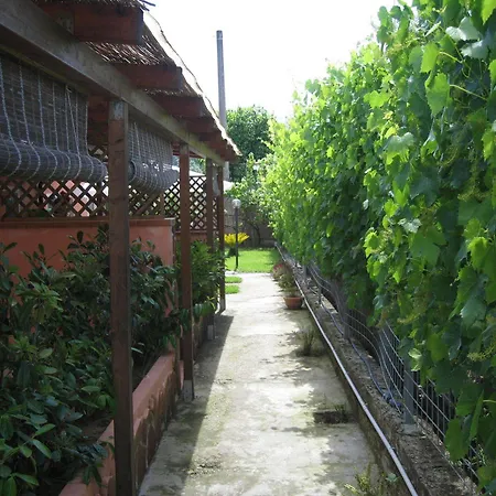 Ferienhaus Mimose *