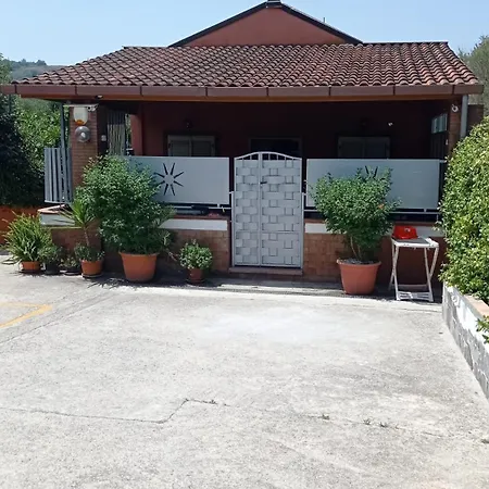 Mimose