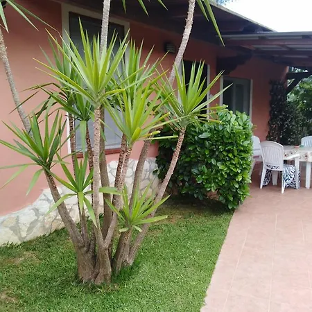 Holiday home Mimose *