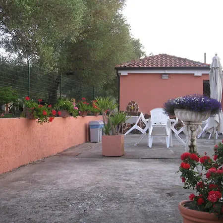 Mimose * Palinuro