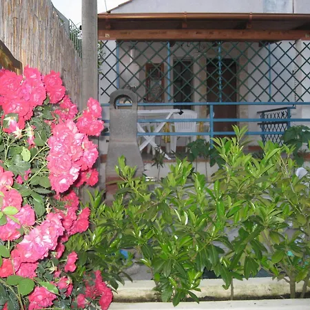 Mimose Holiday home *